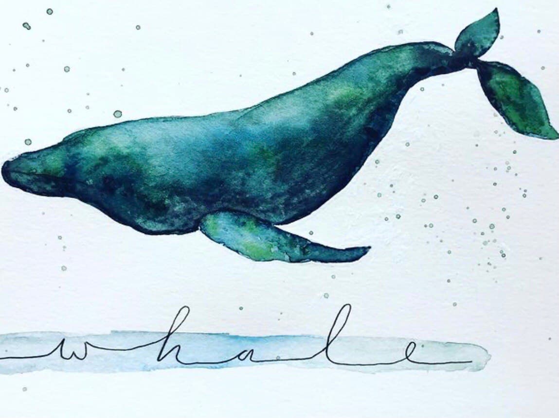 Aquarelle painting of a whale.